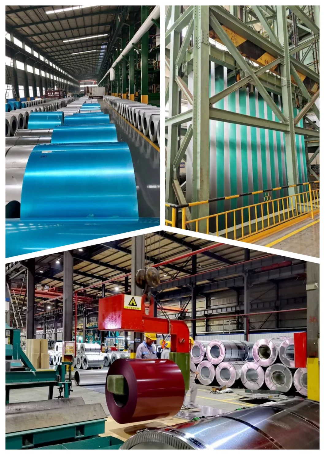 Color Coated Aluminum Sheet/Strip/Coil Building Material