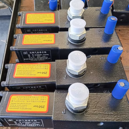 Sino HOWO 東風 Hyva トラック スペアパーツ リフト バルブ