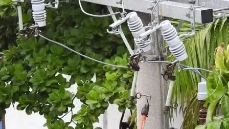 ポールマウント MV ポリマーヒューズカットアウト 33 kV 36 kV 200 A